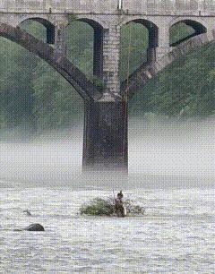 毛宁分享的视频突然火了，鹰酱：龙哥你管这叫无人机？那我手里的算什么呢？毛宁分享