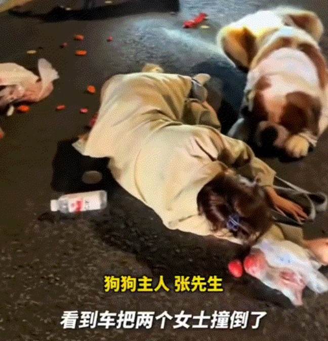狗子太暖心了！黑龙江哈尔滨，一位狗主人带着自家的圣伯纳犬上街遛弯，途中便遇到陌生