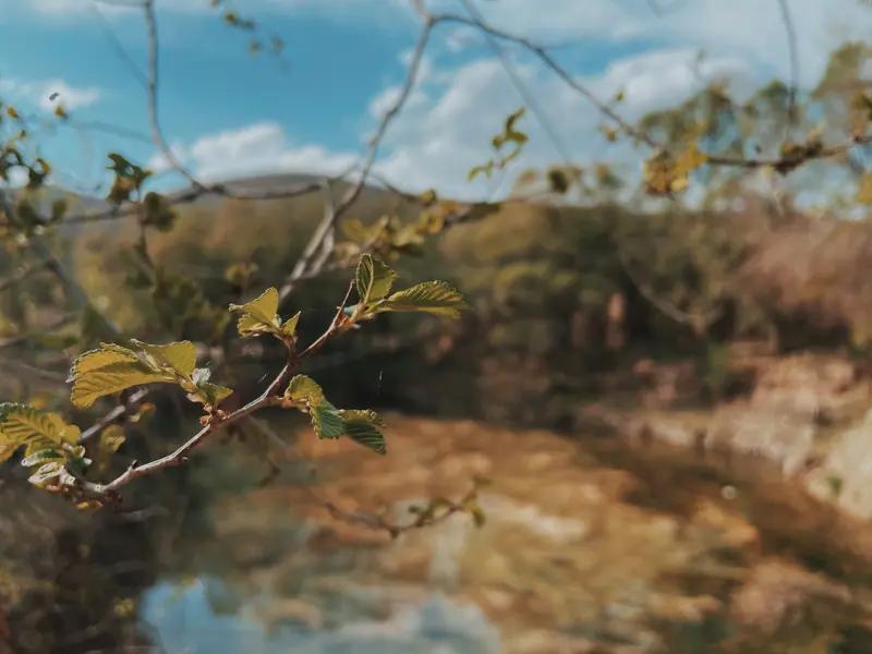 科技与自然谁更有利于人类，这是个值得探讨的话题。科技给人类带来了巨大便利。从互