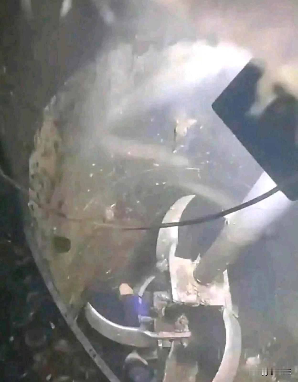 这个工作2000一天，你敢去吗？