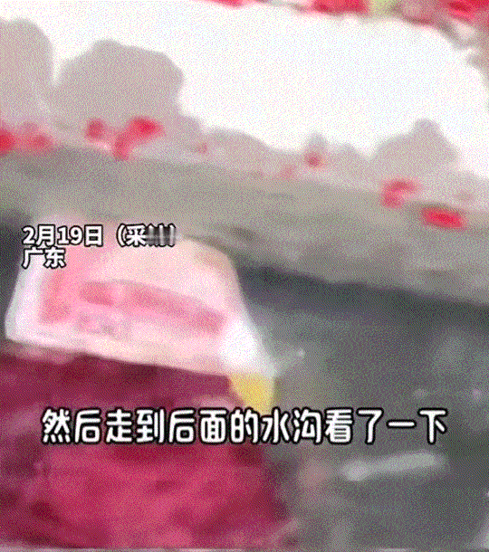 太意外了，广东一女子沿着路边水沟散步，不料没走一会，就看到这水沟里居然有一张很像