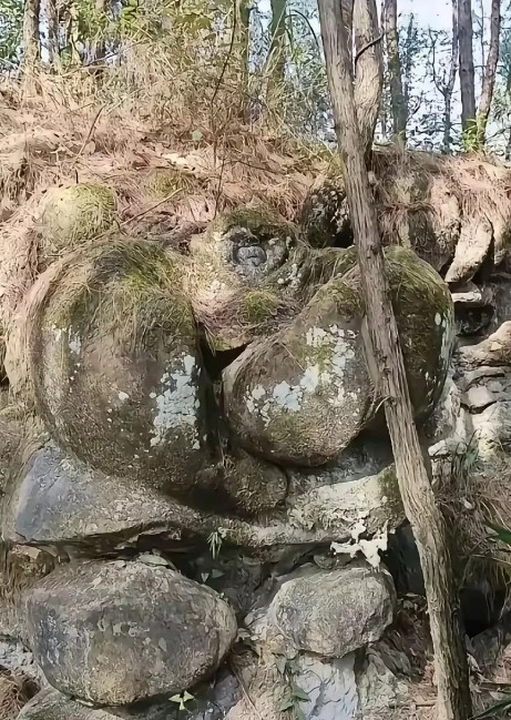 重庆，有一名男子跟亲戚去爬山，当他们快爬到山顶的时候，发现了一块形状很奇怪的石头