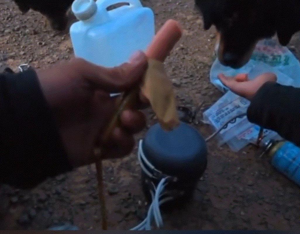 太有灵性了！内蒙古，一男子露营遇到两只蒙古獒，吓得握紧登山杖防身，不料，两只獒并
