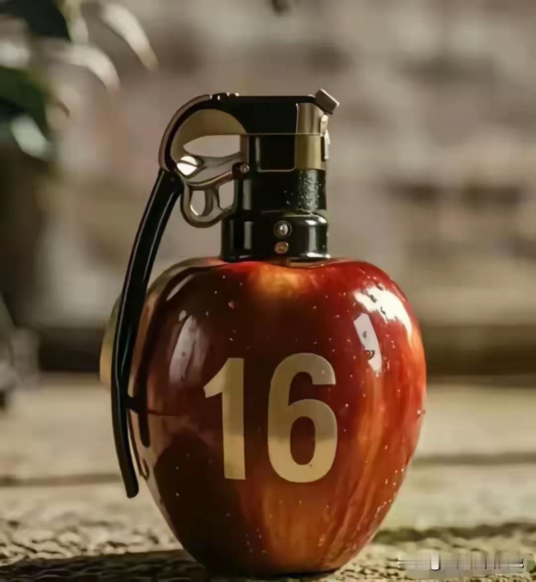 世界没有谁歧视犹太人，倒是阿拉伯人憎恨犹太人，因为土地被他们生生割走了一块，但如