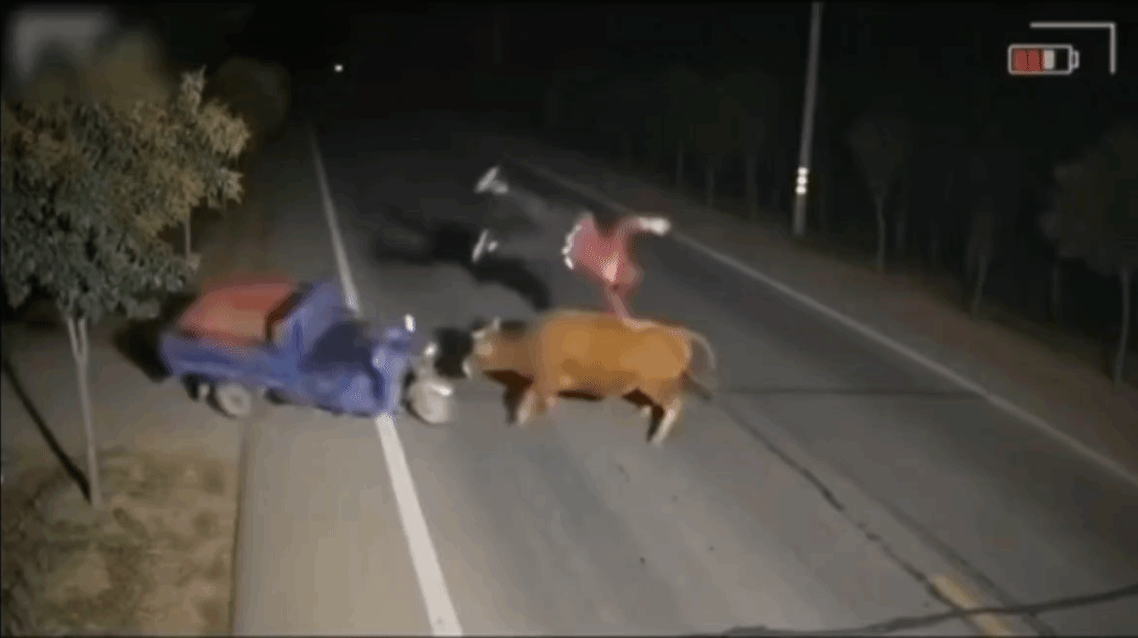 这大哥可以吹一辈子牛了！