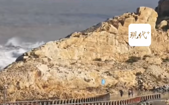 男童被巨浪卷走 保安曾劝别去海边