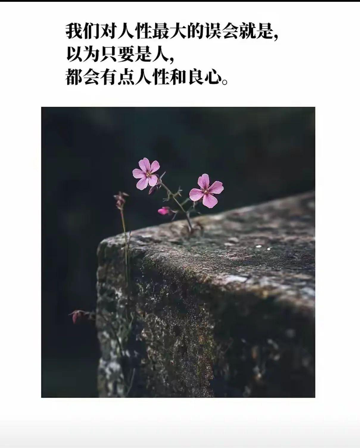 良知这种东西，就跟天赋一样，有就有，没有就没有,不存在唤醒。🤒