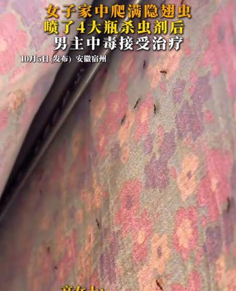 “悲剧还是发生了！”10月2日报道，安徽宿州，一女子家住32楼，由于最近持续下雨