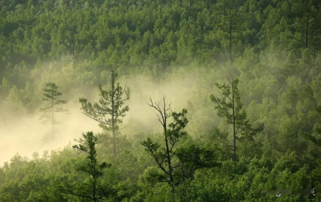 不管儿媳对你好不好，牢记这3三句话，你就赢了：1、对儿媳好，就是对儿子好。