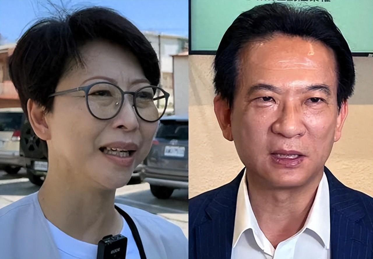 台南是否“换妃”，林俊宪没把话说死！民进党台南市议员初选，本应由台南母鸡陈亭