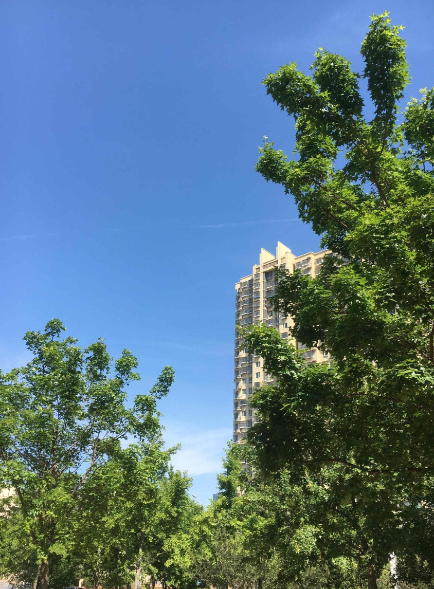 这个五一假期，我一个人带着孩子回了娘家，让我老公自己回了婆家。放假之前，婆婆一直