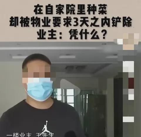 福建福州，一男子在自家别墅院子里种菜，被物业责令3天内铲除。王先生，一个从农村走