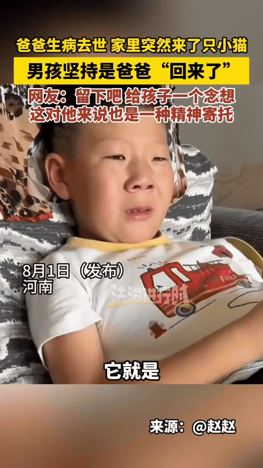 “解释不清了！”河南，爸爸生病去世，儿子晚上做梦，梦见爸爸变成一只猫！第二天家里