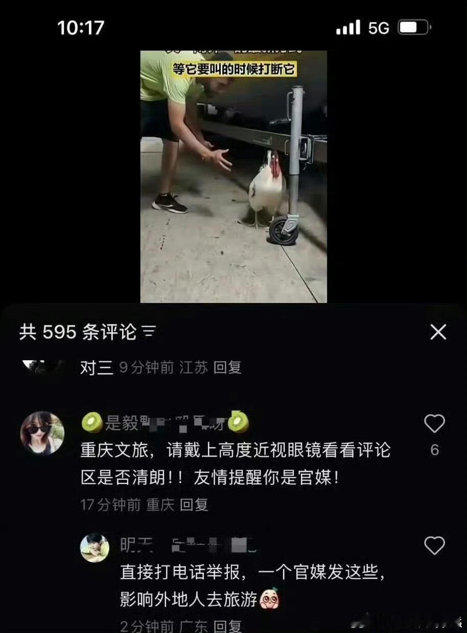 已取笑，但没有一只鸡逃得出广东​​​