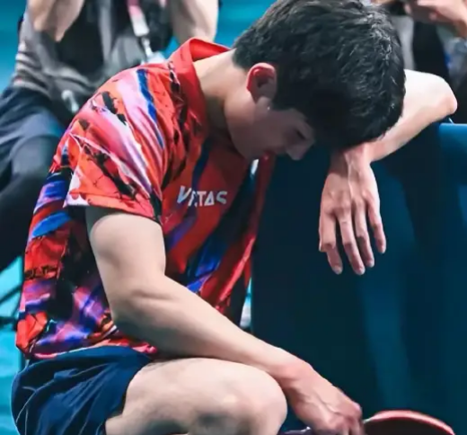 张本智和啊张本智和，我奉劝你一句，不要以为你拼尽全力，就能