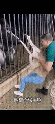 公园里的抢媳妇！不知道他俩到底是谁惹了谁？她应该是谁的女人，谁又能抢的