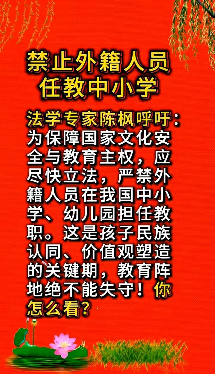 禁止外籍人员任教中小学。​法学专家陈枫呼吁：为保障国家文化安全与教育主权，应尽