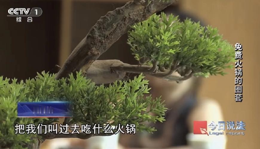 哎，朋友们，你们听说过“免费火锅”的事儿吗？浙江杭州那边儿，就有一家火锅店，专门