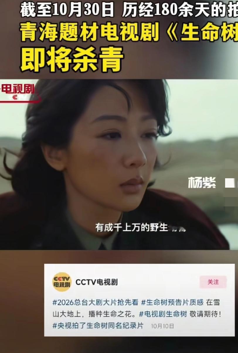 杨紫最聪明,不掺合那些乱七八糟的盛典和周年,不用打扮的花枝招展去应酬,更不用和那