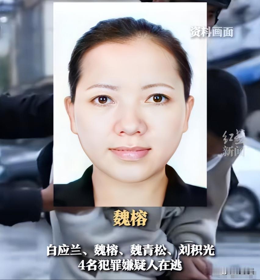 74岁的白所成最终认罪了，70岁左右的魏怀仁也到案了！可是魏怀仁的侄女魏榕现