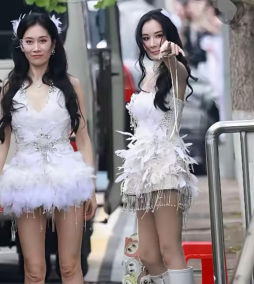 说老实话，萧蔷和温峥嵘两个美女都快六十岁的人了。但是，两个美女穿同样的仙女蓬蓬裙