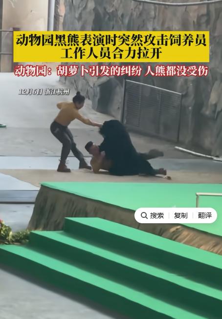 “太吓人了！”12月6日报道，浙江杭州，某动物园内，一只黑熊在表演时，突然失控扑