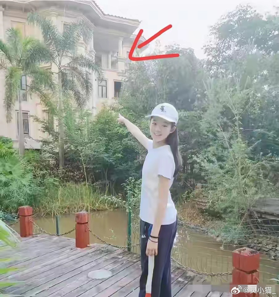 黄杨钿甜”这个名字，取得太贪心了。虽说标新立异，可以让人过目不忘，但犯了几个忌讳
