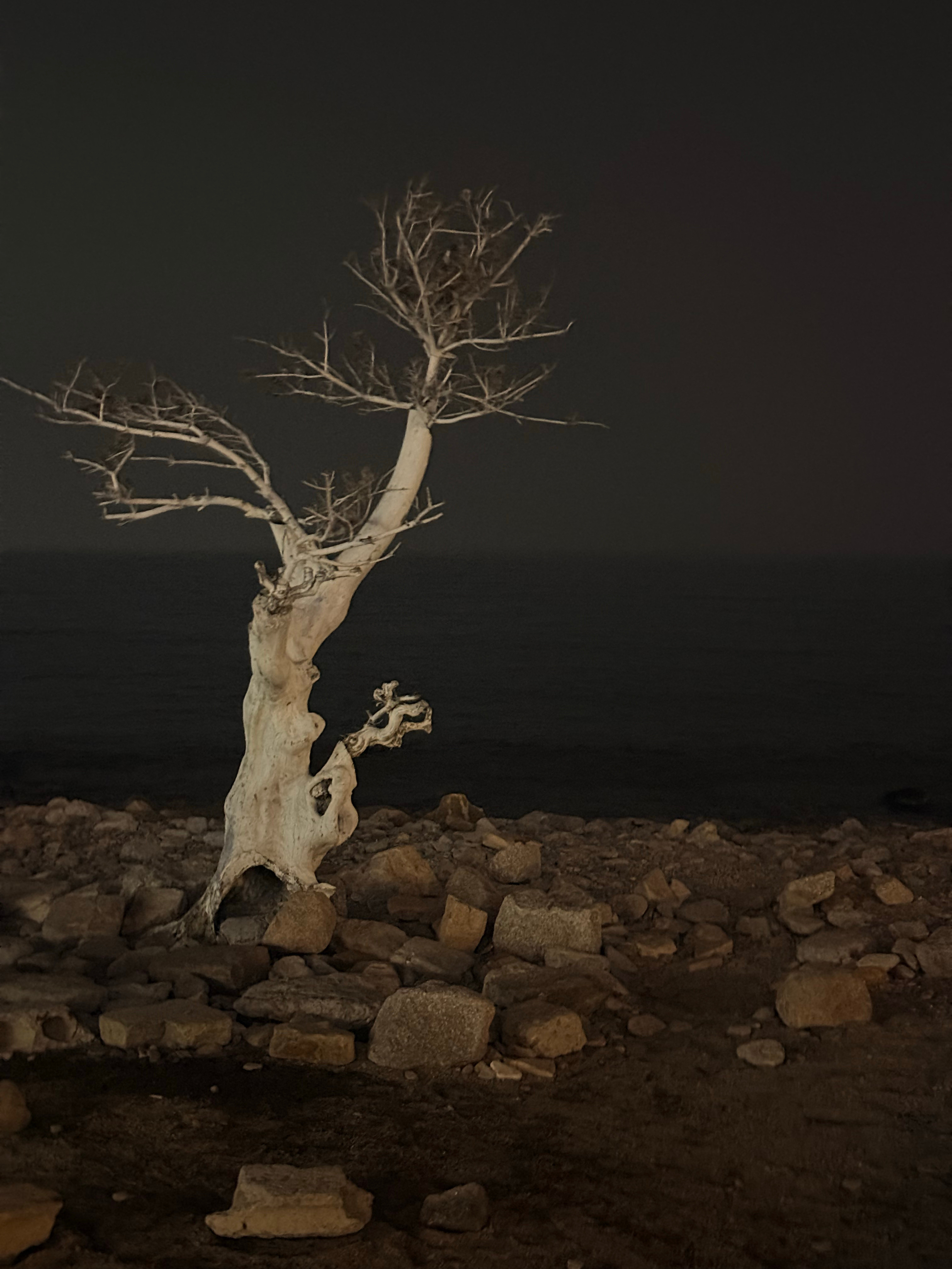 双休可以是一周的任意两天大家都在过周末，只有自己苦哈哈的上班这感觉真的好么不过