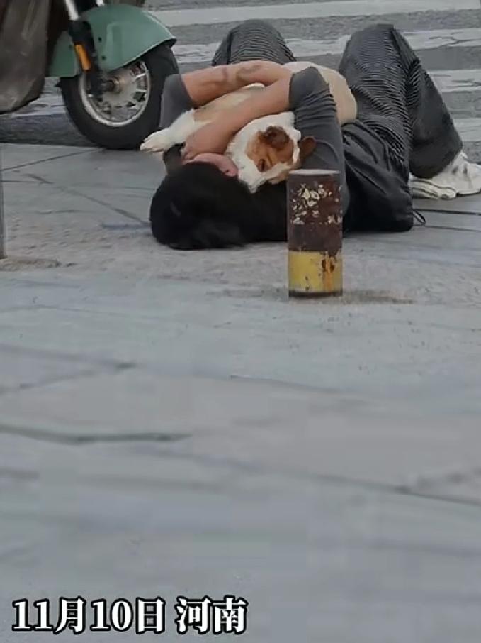 狗子在路边去世，主人抱着狗子伤透了心，躺在地上自言自语，从小养大的狗子不在了，主
