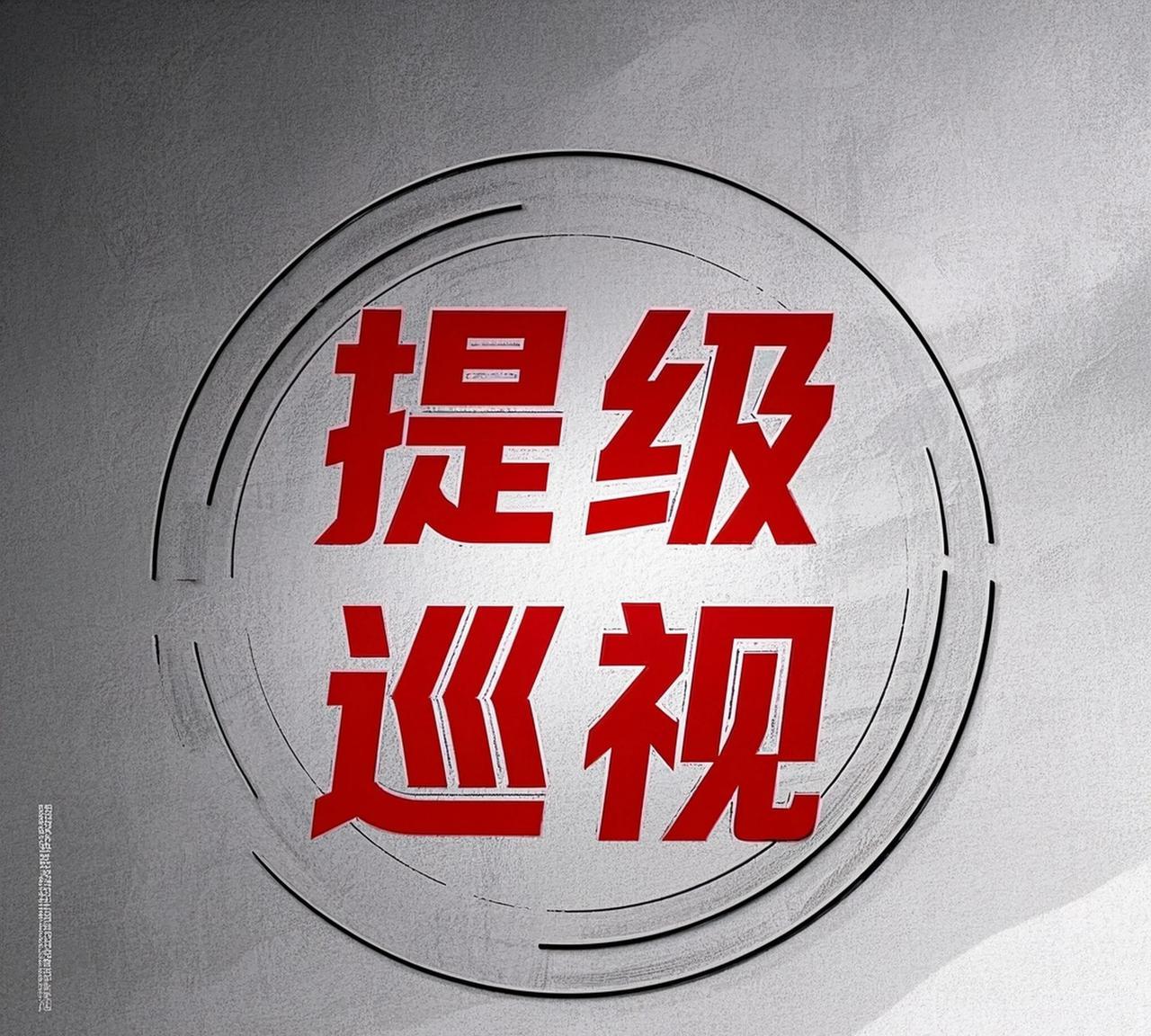今天，在青海省纪委监委工作的侄子给我说，现在纪委监委正在处理这19“不字”:一