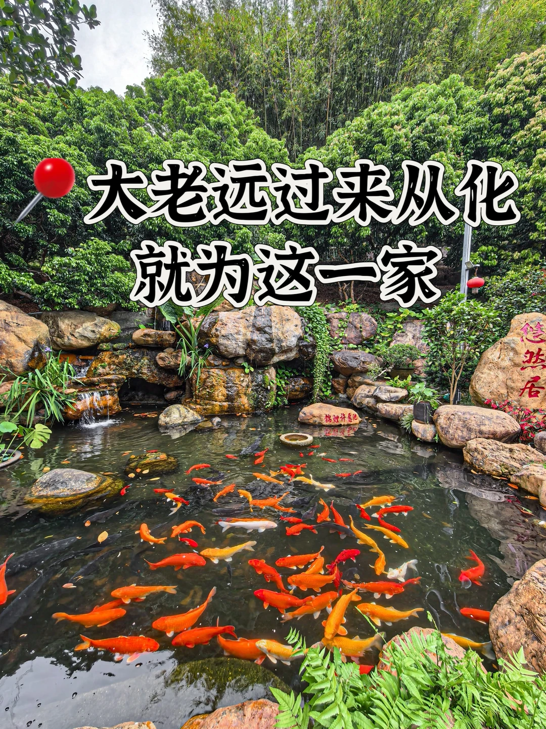 大老远过来从化，就为了这一家~