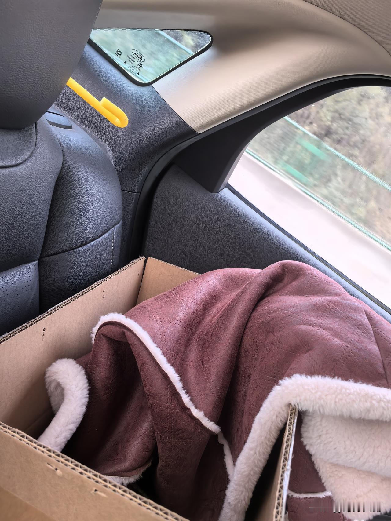 哎呀妈呀！开一天车才到湖南，我无所谓，关键我的猫，缩在纸巾里一天不吃不喝，也