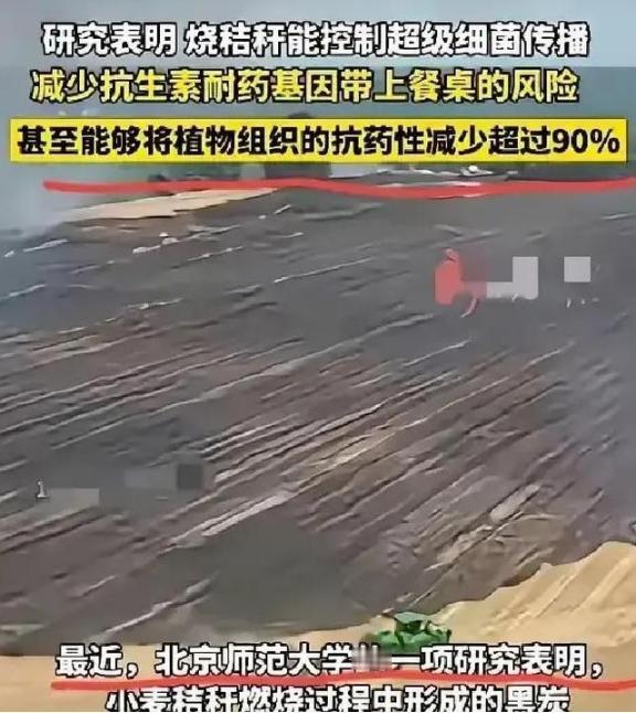 谁能想到？过去因“制造雾霾”被各地严令禁止、农民烧了就要挨罚的秸秆焚烧，如今竟爆