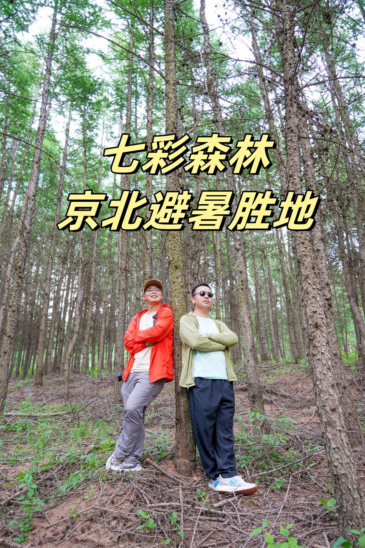京津后花园16℃秘境，夏天来这太舒服盛夏酷热难耐，终于挖到京北绝佳清凉度假