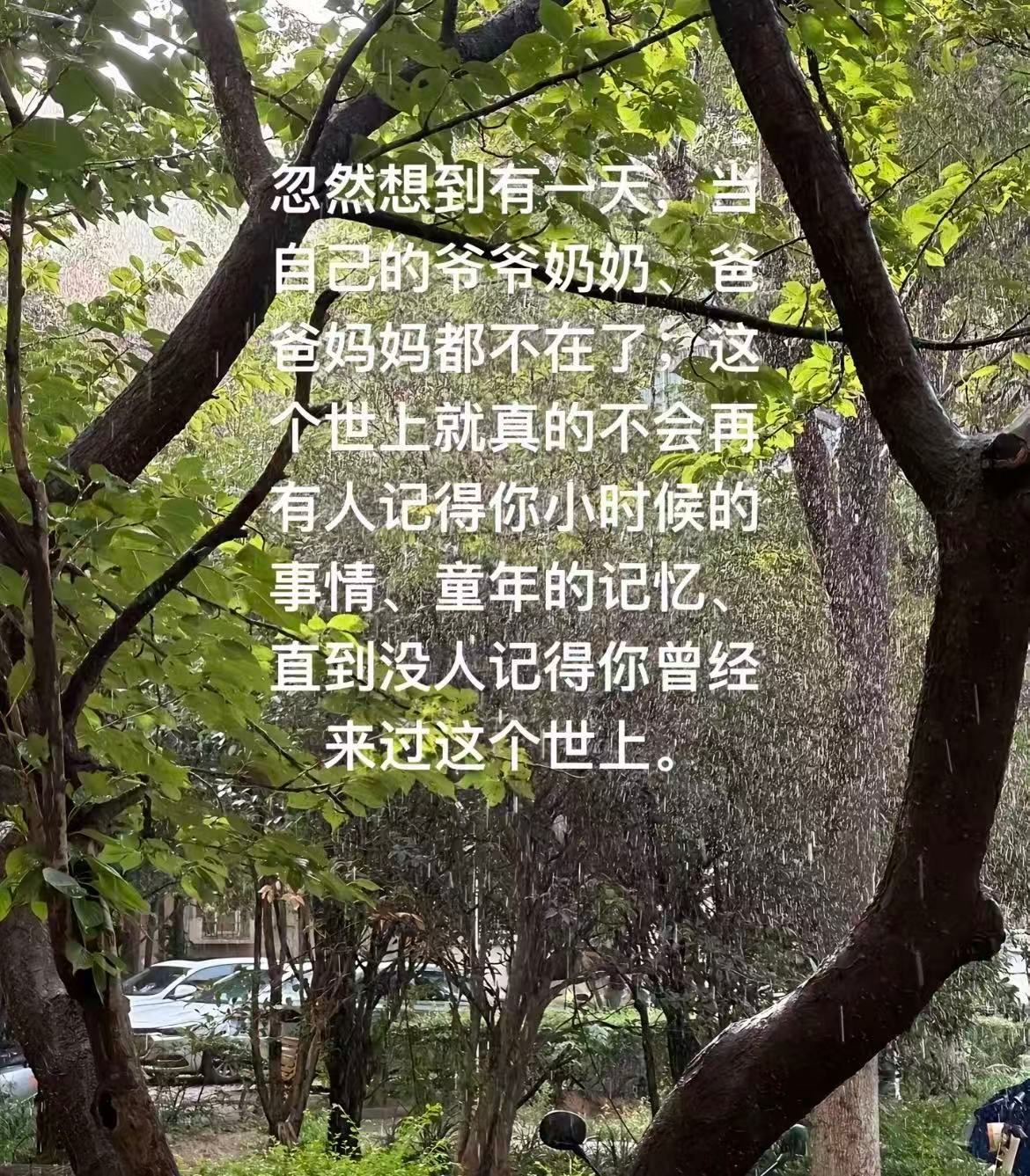 所以这就是发小的意义难怪爷爷奶奶一发呆就能呆一下午...