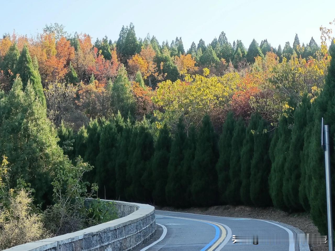 这波甲流传染性太强，昨天同事得了甲流，我们就说了几句话，期间还都戴着口罩。晚