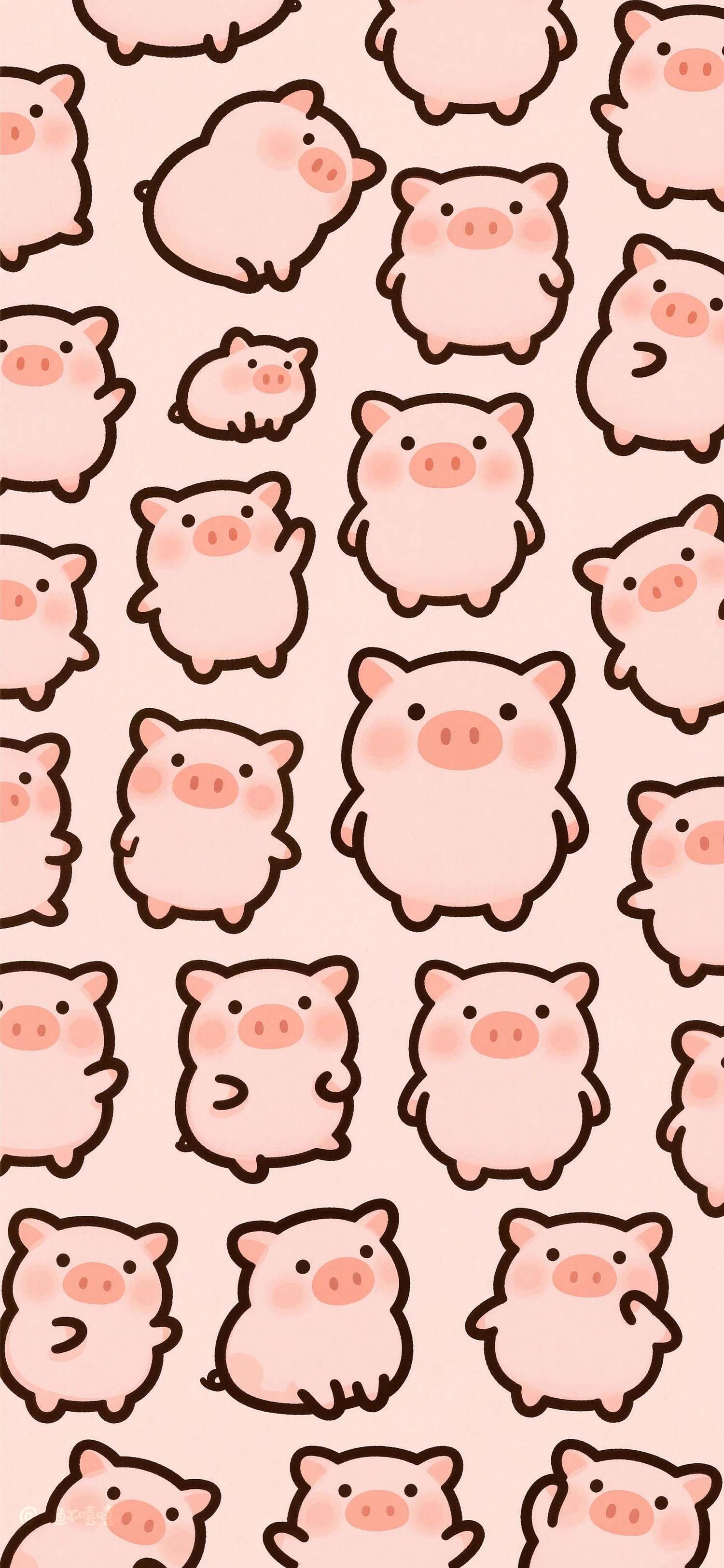 适合当壁纸cr小鱼不嘻嘻