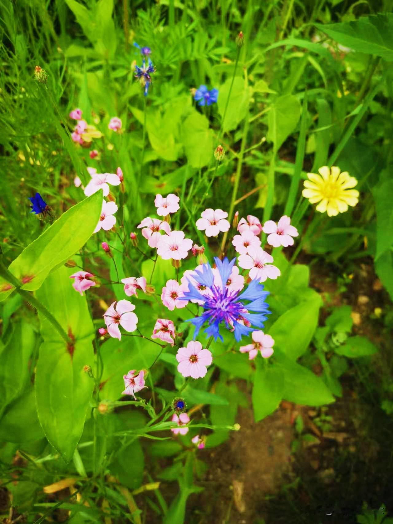 何为民间高手？我接触了很多民间中医人，我提出来一个很简单的问题，什么叫民间？