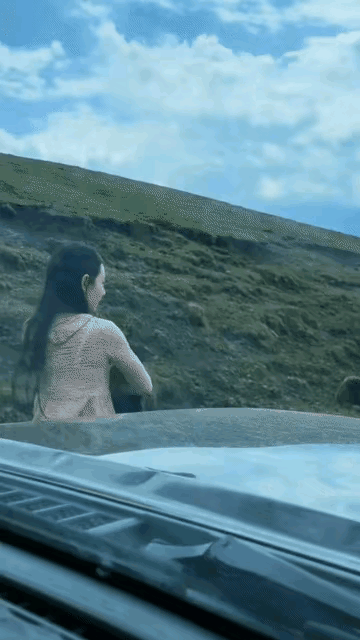 女子这样驱赶牛太危险了