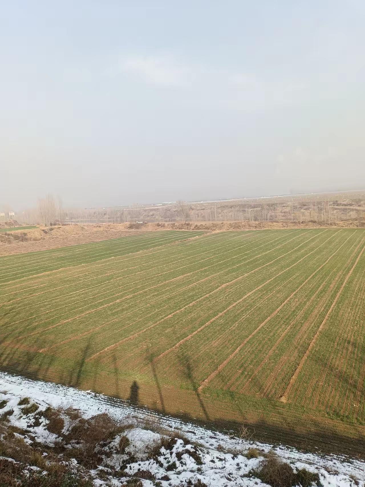 新的殡葬制度将于2026年3月30日执行。实际上最简单可行的是：人死后化火装入