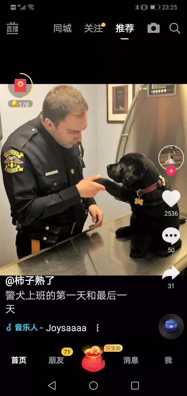 一只警犬上班的第一天和最后一天！[比心]