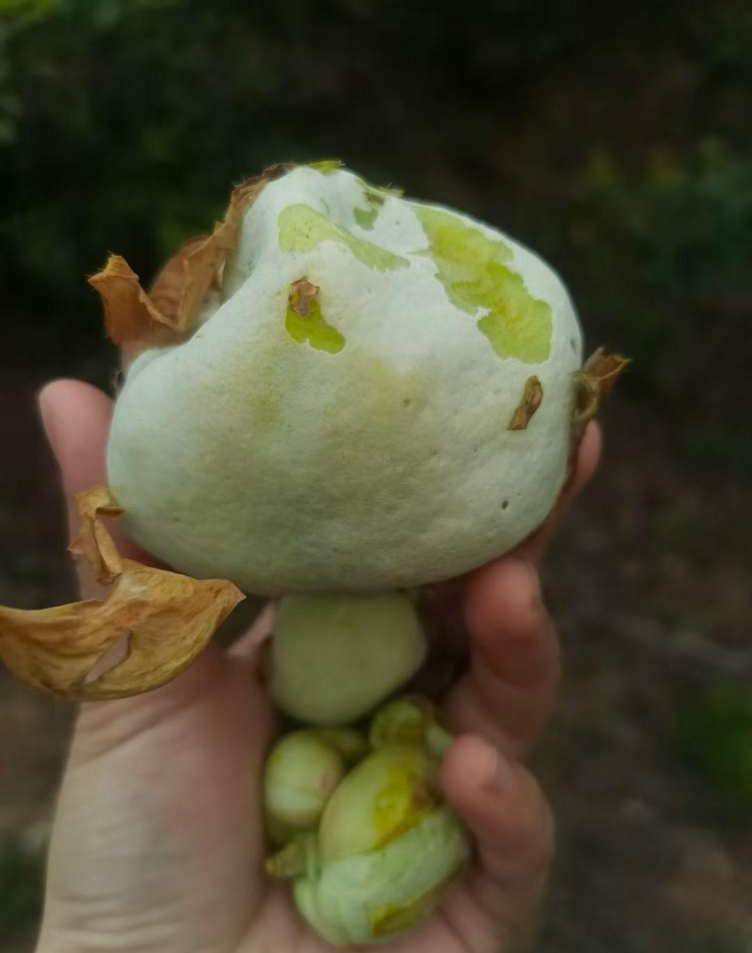 知道这叫啥的应该不多。