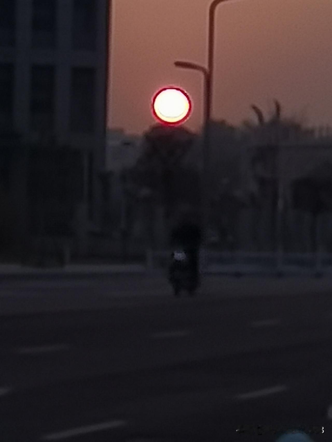 堂姐是她家的功臣，家里大事小事都她说了算，大到财政大权由她管，小到每餐吃的菜，都