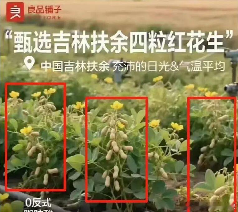 AI真的在毁了世界吧迷惑行为大赏​​​