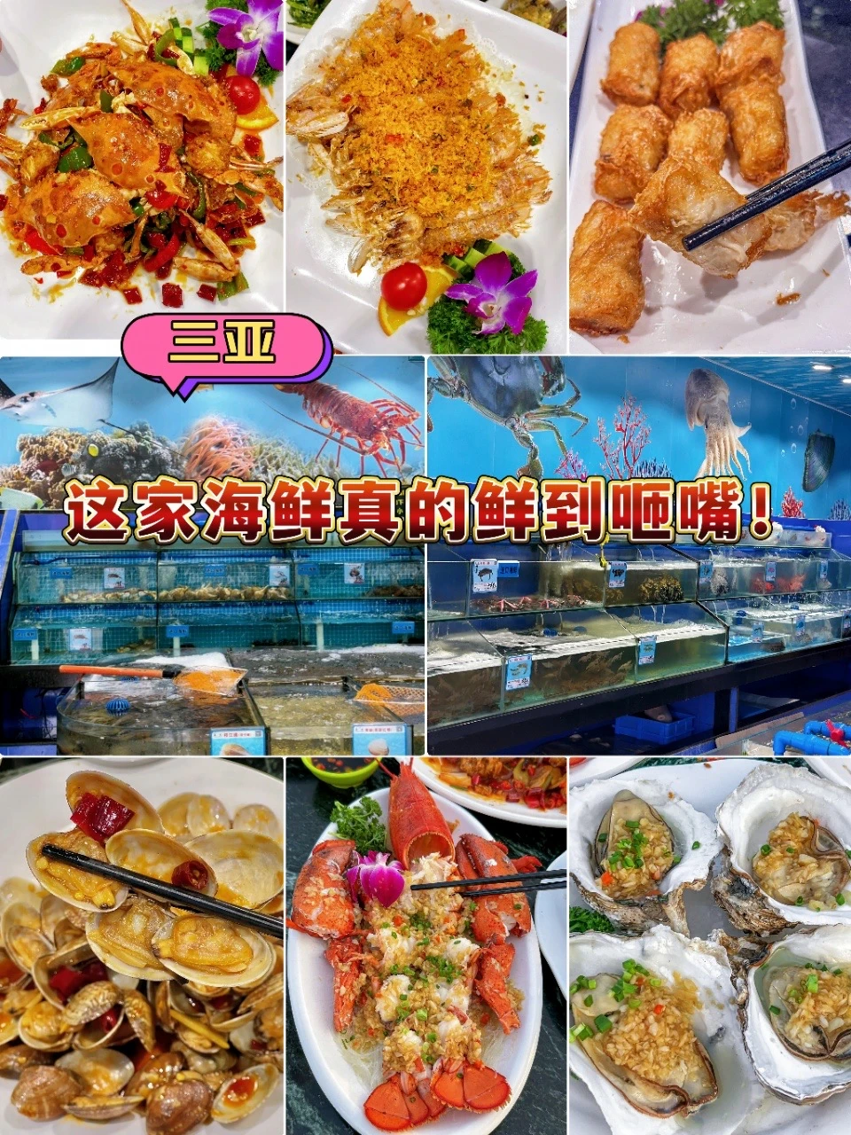 舍不得公开！亚龙湾我的海鲜宝藏小店