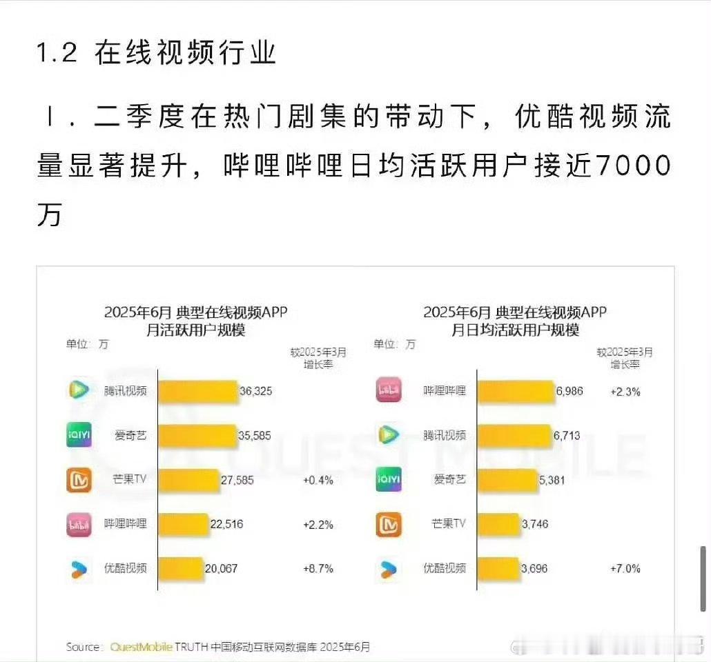 QuestMobile2025上半年报告唯一提及的剧集是《藏海传》：肖战《藏海传