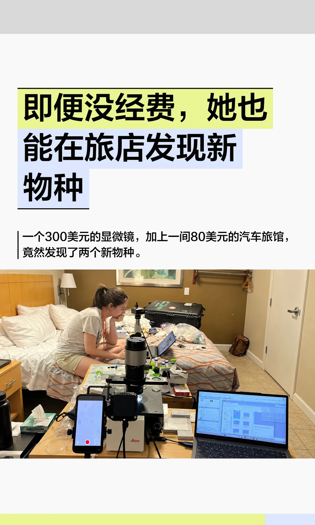 即便没经费，她也能在旅店发现新物种