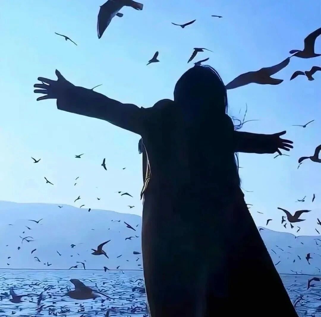 生活手记人生没有标准答案，珍惜当下永远是最优解。