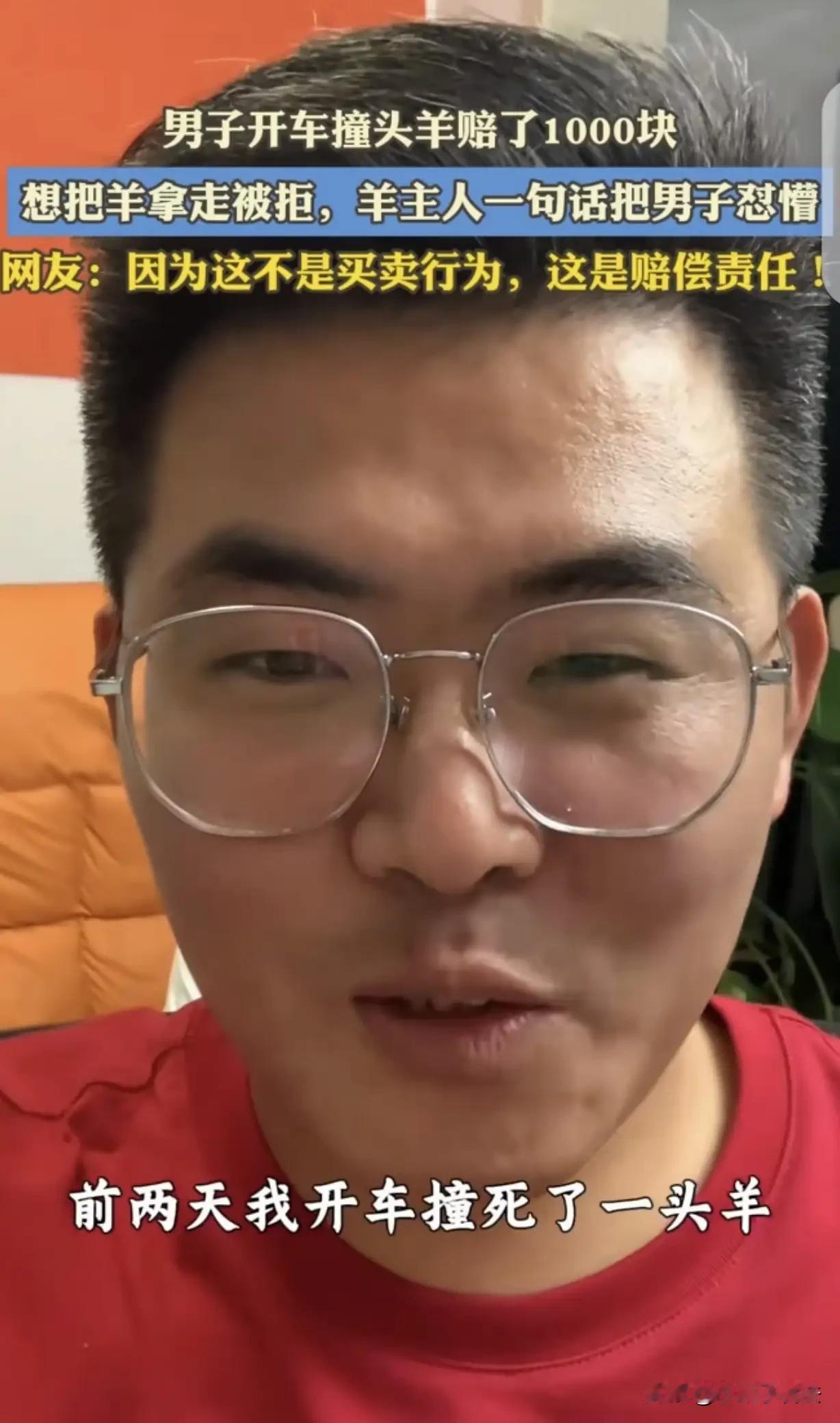 “亏大了吗？”男子开车将牧民的羊撞死，他心有余悸，很快冷静下来，主动与牧民协商赔