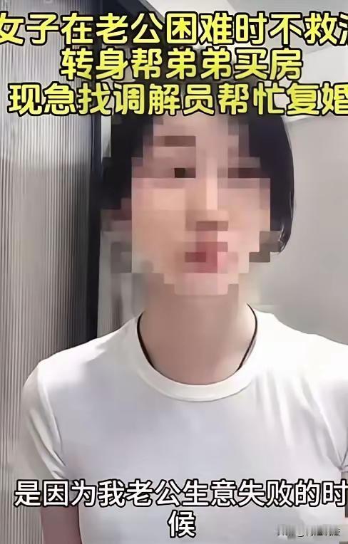 调解员是什么物种呢？